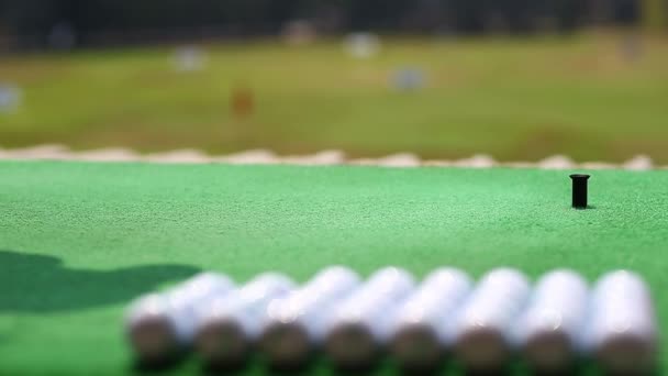 Les Filles Les Golfeurs Pratiquant Golf — Video