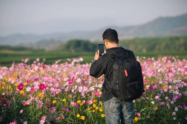 Smartphone — Stockfoto