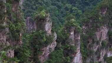 Zhangjiajie Ulusal Orman Parkı