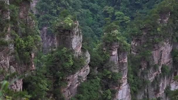 Parco Nazionale Della Foresta Zhangjiajie — Video Stock