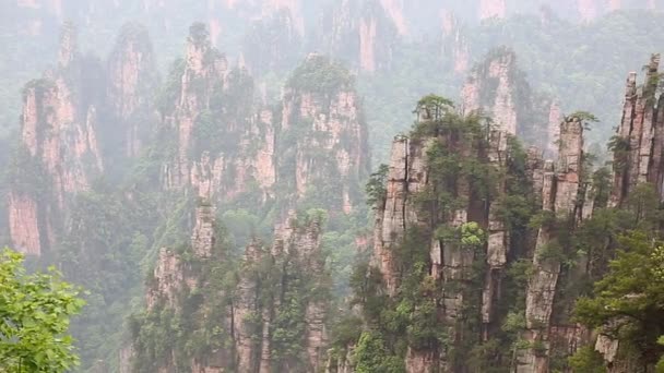 Parque Forestal Nacional Zhangjiajie — Vídeo de stock