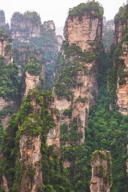 Zhangjiajie Ulusal Orman Parkı