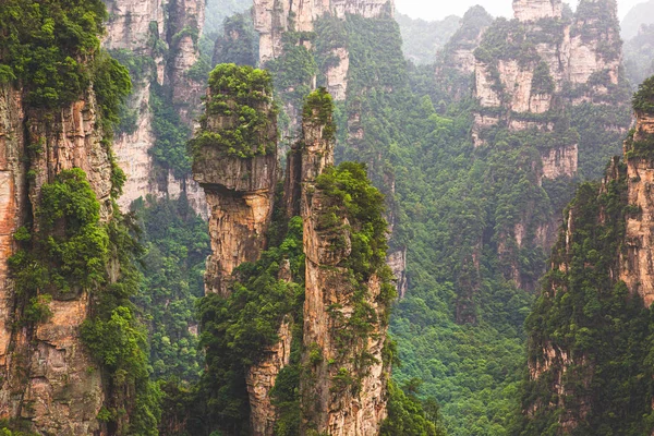 Národní lesní park Zhangjiajie — Stock fotografie