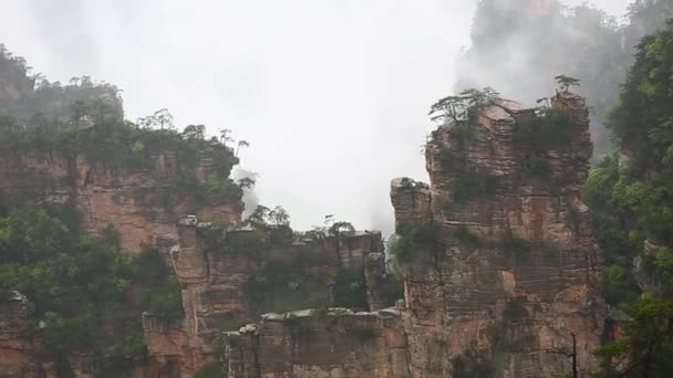 Het Zhangjiajie National Forest Park — Stockvideo