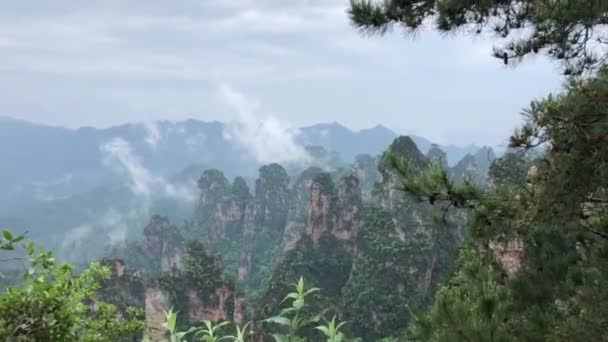 Zhangjiajie Ulusal Orman Parkı — Stok video