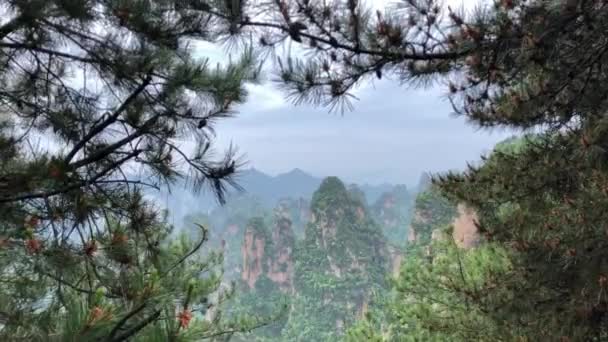 Národní Lesní Park Zhangjiajie — Stock video