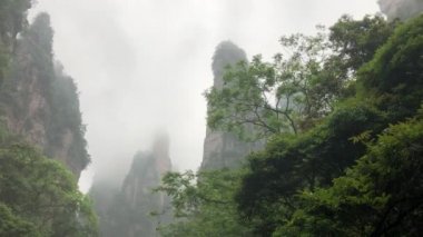 Zhangjiajie Ulusal Orman Parkı