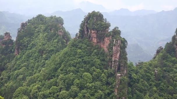 Het Zhangjiajie National Forest Park — Stockvideo