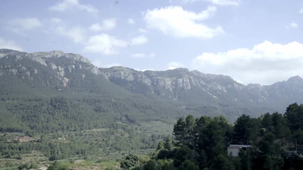 鳥のツバメは山の風景の上に曇った空の背景に非常に速く飛ぶ — ストック動画