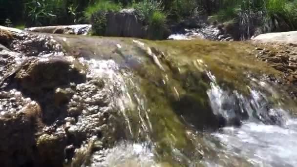Nahaufnahme Von Kristallklarem Wasser Das Einem Bergwaldbach Fließt Kleine Wassertropfen — Stockvideo