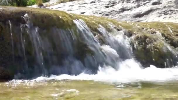 Βίντεο Κρυστάλλινα Νερά Τρέχουν Ορεινά Δάση Μικρές Σταγόνες Νερού Που — Αρχείο Βίντεο