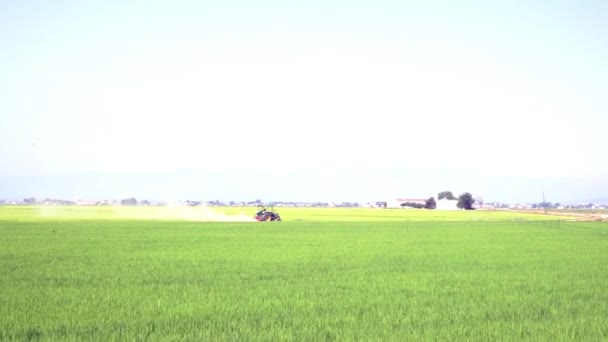 Traktor Pflanzt Landwirtschaftliche Nutzpflanzen Auf Dem Feld — Stockvideo