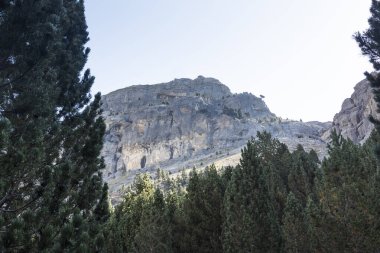 Yeşil bir çam ormanının üzerinde yükselen dağ uçurumları berrak bir gökyüzünün altında, doğal ihtişamı vurguluyor.
