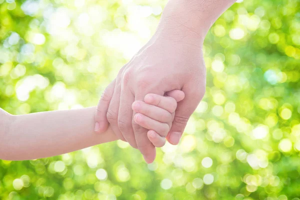 Father Holding Hand Little Child Park — Stock Photo, Image