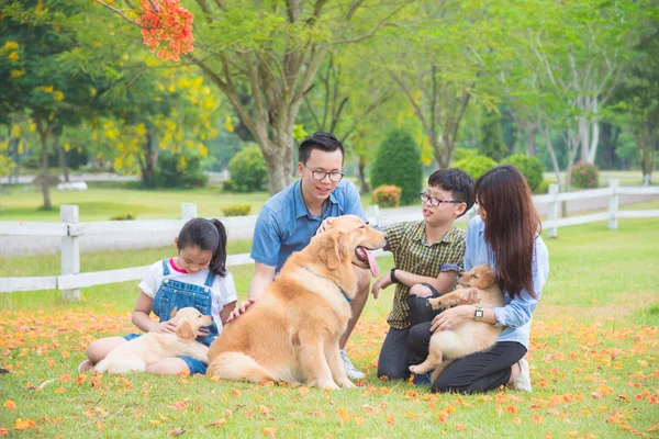 Família Asiática Com Cães Sentados Parque Primavera — Fotografia de Stock