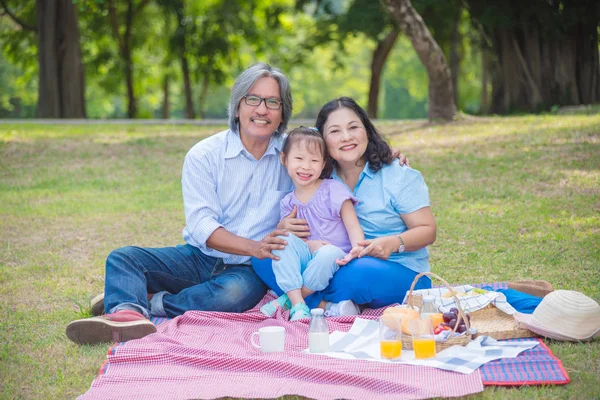 Aziatische Grootouders Doorbrengen Tijd Vakantie Met Kleindochter Door Picknick Het — Stockfoto
