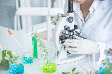 Bilim adamı ya da eczacı yapmak bitki bitkisel tıp laboratuvarında masada, sonuç mikroskop tarafından izlerken.