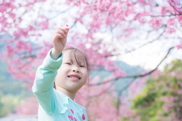 Little asian girl smiling in front of sakura tree. — Stock Photo, Image