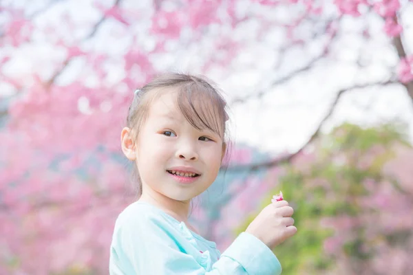 สาวเอเชียตัวน้อยยิ้มหน้าต้นซากุระ . — ภาพถ่ายสต็อก