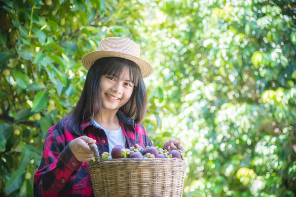 Ευτυχισμένο θηλυκό αγρότη κρατώντας magoesteen καλάθι φρούτων και χαμόγελα . — Φωτογραφία Αρχείου