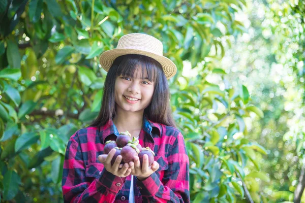 Agricultora feliz segurando magoesteen frutas e sorrisos . — Fotografia de Stock