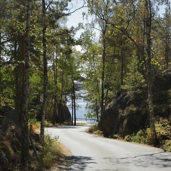 Paisaje Con Idílico Camino Verano Sueco Nynshamn —  Fotos de Stock