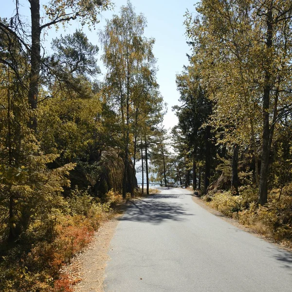 Yaz Aylarında Sveç Nynshamn Pastoral Yol Ile Manzara — Stok fotoğraf