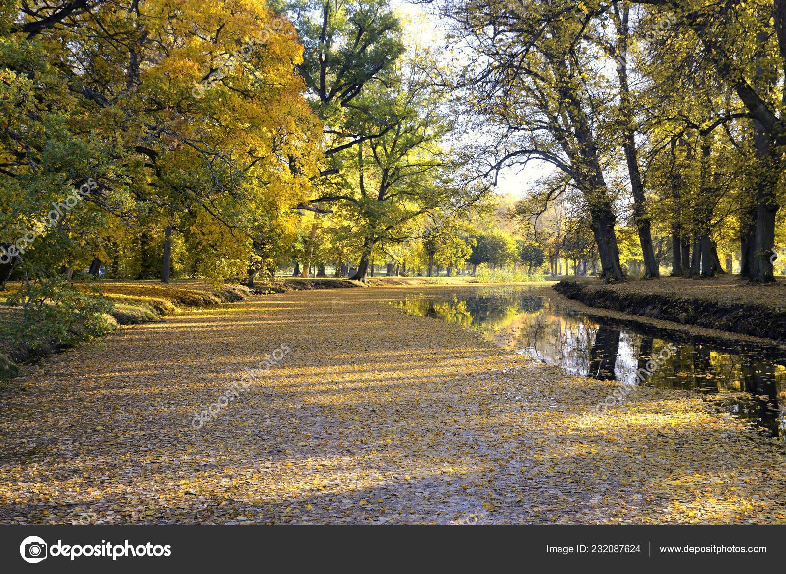 Backyard Wallpapers Posted By Michelle Sellers