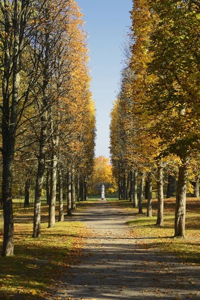 Outono Quintal Jardim Natureza Fundo Com Árvores Coloridas Dia Ensolarado — Fotografia de Stock