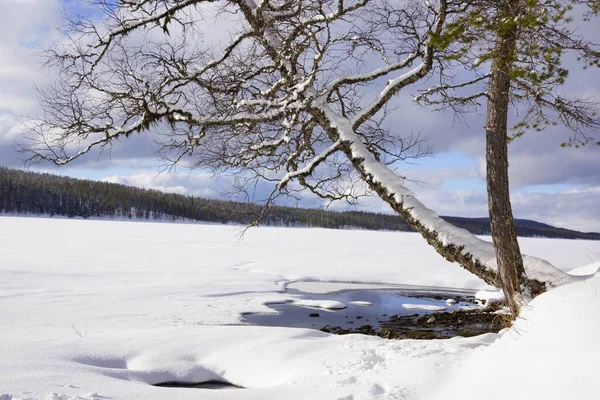 Frozen forest lake in a snowy winter landscape, Idre in Sweden