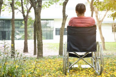 bir parkta bir tekerlekli sandalye kullanan kadın