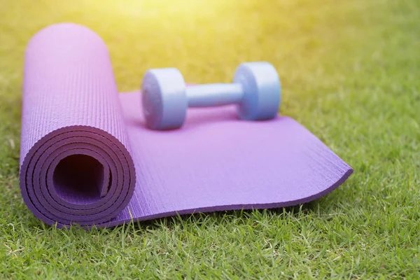 Purple yoga mat and blue dumbbell — Stock Photo, Image