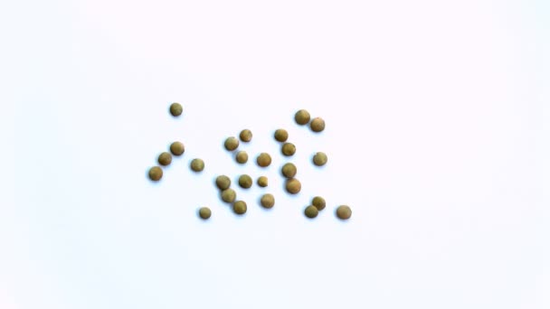 Lentils White Background Slow Motion — Stock Video