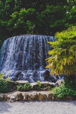 palmiye ağacı Genel Bahçe yeşilliklerle çevrili ile küçük şelale