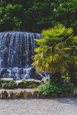 palmiye ağacı Genel Bahçe yeşilliklerle çevrili ile küçük şelale