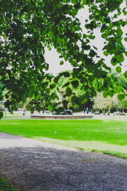 Dublin, İrlanda - 20 Mayıs 2018: ayrıntı sadece kapalı Harcourt Street Dublin şehir merkezinde Iveagh bahçeleri