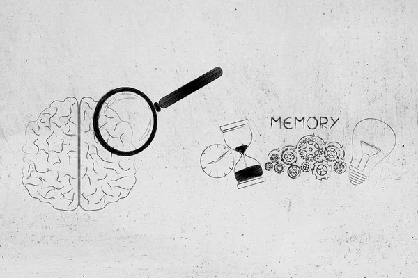 thoughts and memory conceptual illustration: brain with magnifying glass analysing it next to memory icon made by light bulb gearwheels and hourglass