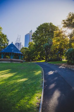 Sydney, Avustralya - 30 Aralık 2014: ayrıntılı olarak Sydney Cbd, liman ve Sydney Cbd gökdelenler ile bir park Kraliyet Botanik Bahçeleri