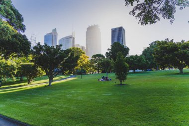 Sydney, Avustralya - 30 Aralık 2014: ayrıntılı olarak Sydney Cbd, liman ve Sydney Cbd gökdelenler ile bir park Kraliyet Botanik Bahçeleri