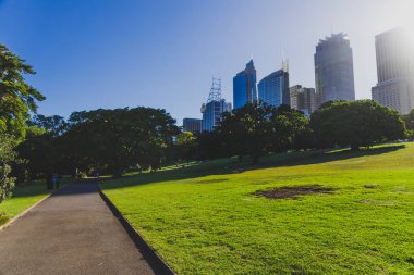 Sydney, Avustralya - 30 Aralık 2014: ayrıntılı olarak Sydney Cbd, liman ve Sydney Cbd gökdelenler ile bir park Kraliyet Botanik Bahçeleri