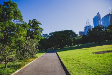 Sydney, Avustralya - 30 Aralık 2014: ayrıntılı olarak Sydney Cbd, liman ve Sydney Cbd gökdelenler ile bir park Kraliyet Botanik Bahçeleri