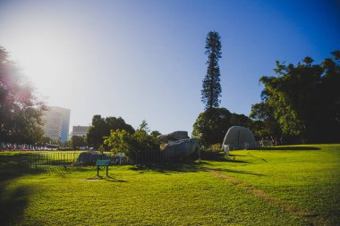Sydney, Avustralya - 30 Aralık 2014: ayrıntılı olarak Sydney Cbd, liman ve Sydney Cbd gökdelenler ile bir park Kraliyet Botanik Bahçeleri