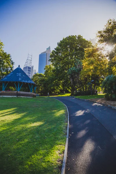 Sydney, Avustralya - 30 Aralık 2014: ayrıntılı olarak Sydney Cbd, liman ve Sydney Cbd gökdelenler ile bir park Kraliyet Botanik Bahçeleri