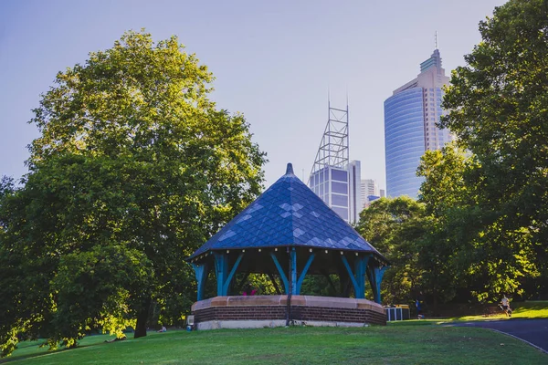 Sydney, Avustralya - 30 Aralık 2014: ayrıntılı olarak Sydney Cbd, liman ve Sydney Cbd gökdelenler ile bir park Kraliyet Botanik Bahçeleri