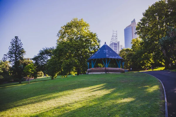 Sydney, Avustralya - 30 Aralık 2014: ayrıntılı olarak Sydney Cbd, liman ve Sydney Cbd gökdelenler ile bir park Kraliyet Botanik Bahçeleri