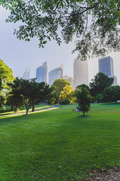 Sydney Australien Dezember 2014 Detail Der Königlichen Botanischen Gärten Sydney — Stockfoto