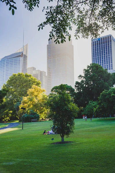 Sydney Australia Dicembre 2014 Dettaglio Dei Royal Botanic Gardens Sydney — Foto Stock