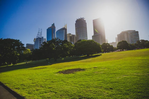 Sydney Australia December 30Th 2014 Detail Royal Botanic Gardens Sydney — Stock Photo, Image