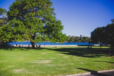 Sydney, Avustralya - 30 Aralık 2014: ayrıntılı olarak Sydney Cbd, liman ve Sydney Cbd gökdelenler ile bir park Kraliyet Botanik Bahçeleri
