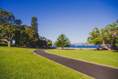 Sydney, Avustralya - 30 Aralık 2014: ayrıntılı olarak Sydney Cbd, liman ve Sydney Cbd gökdelenler ile bir park Kraliyet Botanik Bahçeleri